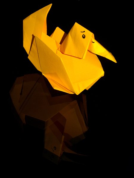 whatdoestheducklingeat.jpg
