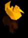 whatdoestheducklingeat_small.jpg