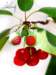 jewelry27_small.jpg