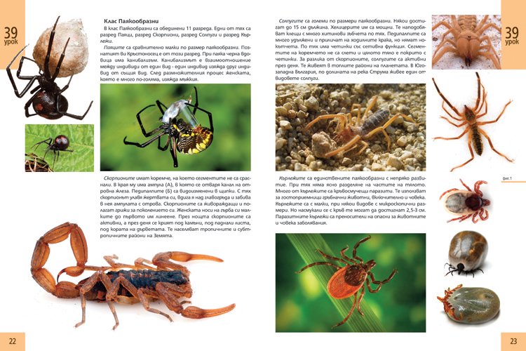 biologytextbook13.jpg