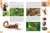 biologytextbook13_small.jpg