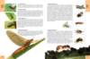 biologytextbook14_small.jpg