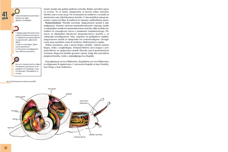 biologytextbook17.jpg