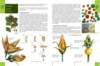 biologytextbook5_small.jpg