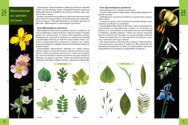 biologytextbook7.jpg