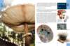 biologytextbook8_small.jpg
