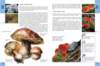 biologytextbook9_small.jpg
