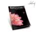 biologytextbook_small.jpg