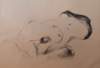 fragments2_small.jpg