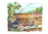 whatmonthisyourbirthdayaustralia11_small.jpg