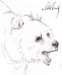 bear_small.jpg