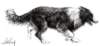 dog_small.jpg