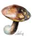 mushrooms3_small.jpg