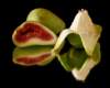 stilllife2_small.jpg